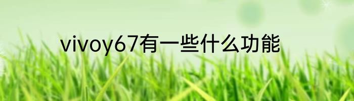 vivoy67有一些什么功能
