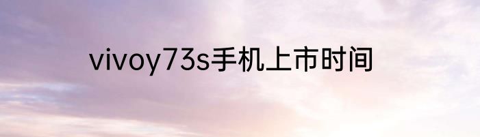 vivoy73s手机上市时间