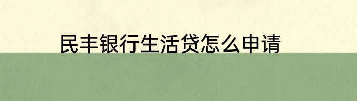 民丰银行生活贷怎么申请