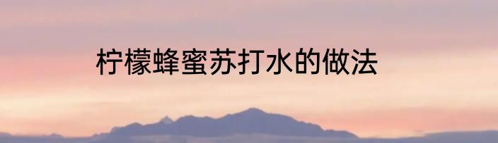 柠檬蜂蜜苏打水的做法