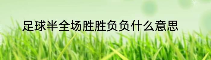 足球半全场胜胜负负什么意思