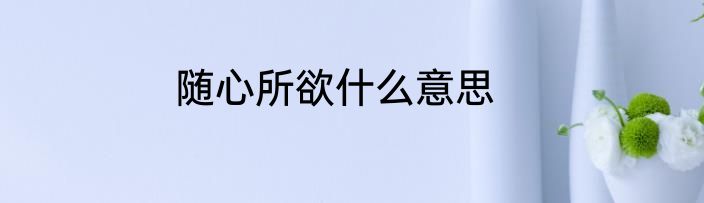 随心所欲什么意思