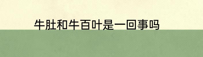 牛肚和牛百叶是一回事吗