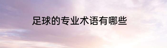 足球的专业术语有哪些