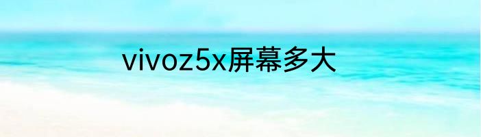 vivoz5x屏幕多大
