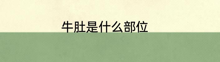 牛肚是什么部位