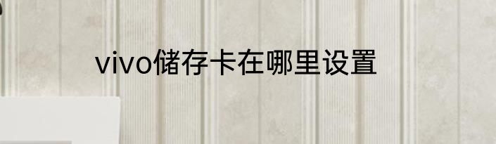 vivo储存卡在哪里设置