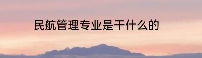 民航管理专业是干什么的
