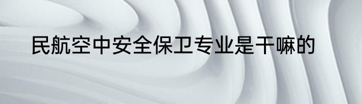 民航空中安全保卫专业是干嘛的