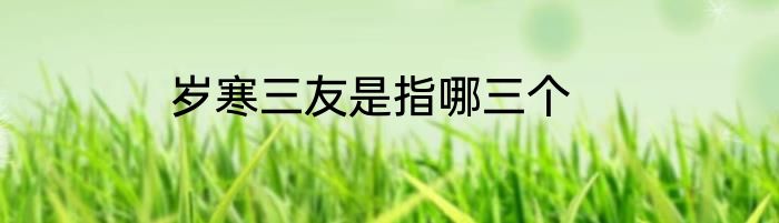 岁寒三友是指哪三个