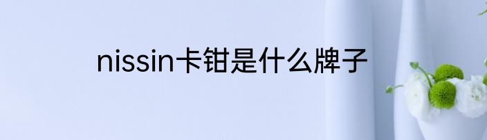 nissin卡钳是什么牌子