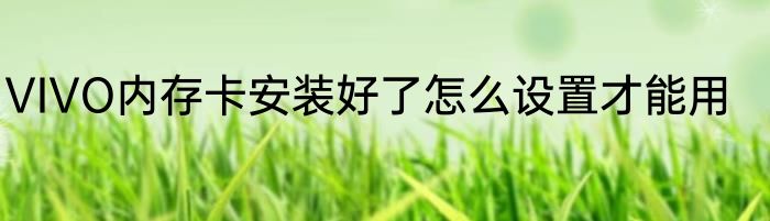 VIVO内存卡安装好了怎么设置才能用