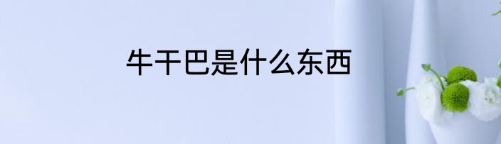牛干巴是什么东西