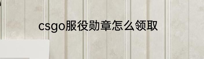 csgo服役勋章怎么领取