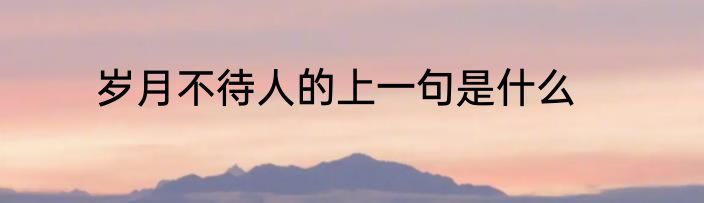 岁月不待人的上一句是什么