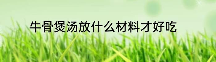 牛骨煲汤放什么材料才好吃