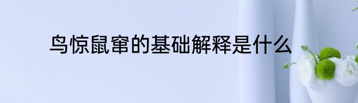鸟惊鼠窜的基础解释是什么