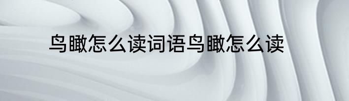 鸟瞰怎么读词语鸟瞰怎么读