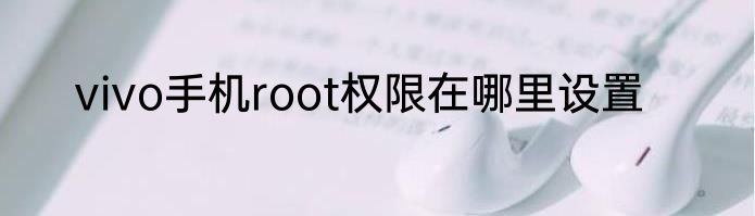 vivo手机root权限在哪里设置