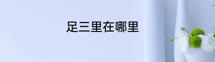 足三里在哪里