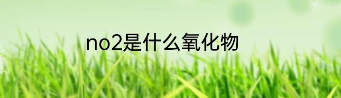 no2是什么氧化物