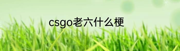 csgo老六什么梗