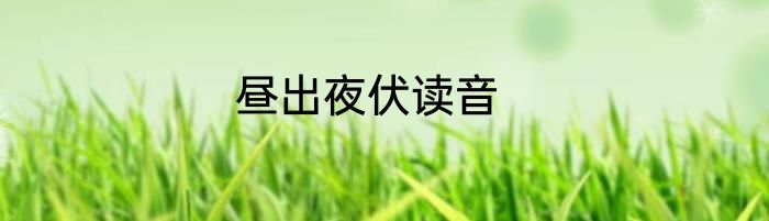 昼出夜伏读音