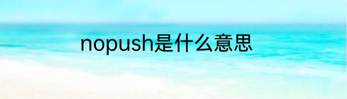 nopush是什么意思