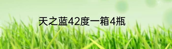 天之蓝42度一箱4瓶