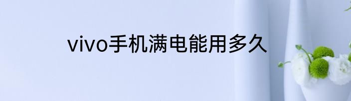 vivo手机满电能用多久