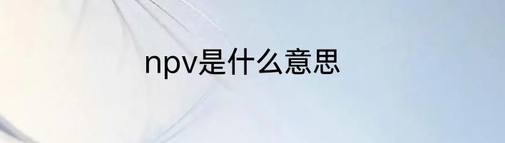 npv是什么意思