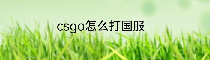 csgo怎么打国服