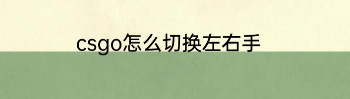 csgo怎么切换左右手