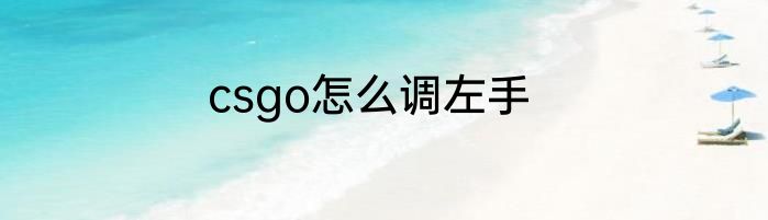 csgo怎么调左手