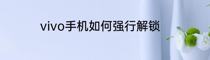 vivo手机如何强行解锁