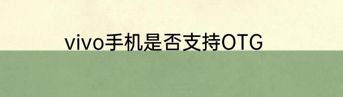 vivo手机是否支持OTG