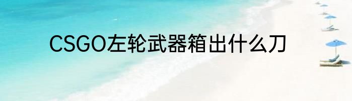CSGO左轮武器箱出什么刀