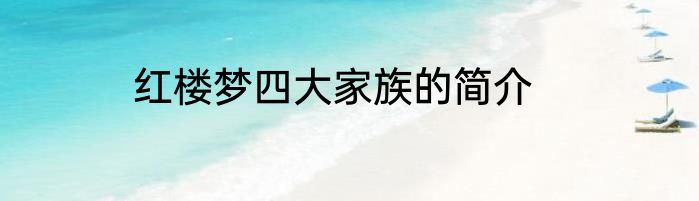 红楼梦四大家族的简介