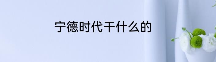 宁德时代干什么的