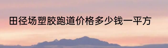 田径场塑胶跑道价格多少钱一平方