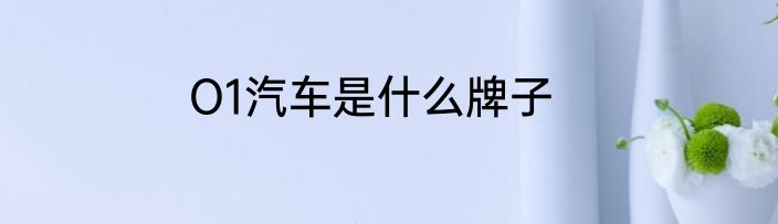 O1汽车是什么牌子