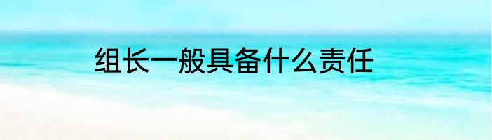 组长一般具备什么责任
