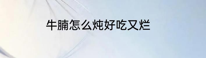 牛腩怎么炖好吃又烂