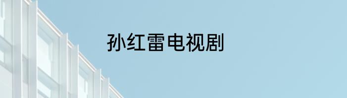 孙红雷电视剧