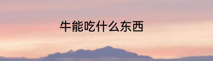 牛能吃什么东西