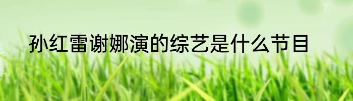 孙红雷谢娜演的综艺是什么节目