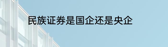 民族证券是国企还是央企