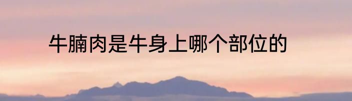 牛腩肉是牛身上哪个部位的