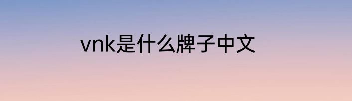 vnk是什么牌子中文