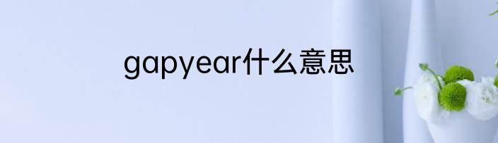 gapyear什么意思
